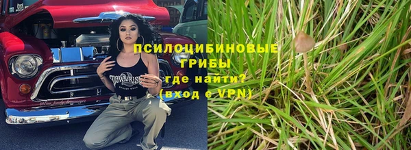 ешки Новозыбков