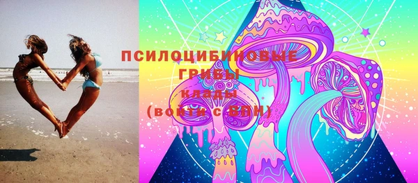 амфетамин Новодвинск