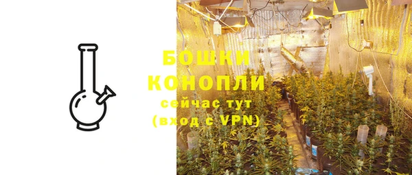 ешки Новозыбков