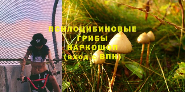 амфетамин Новодвинск