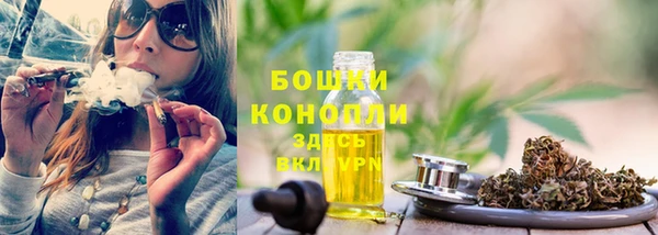 ешки Новозыбков