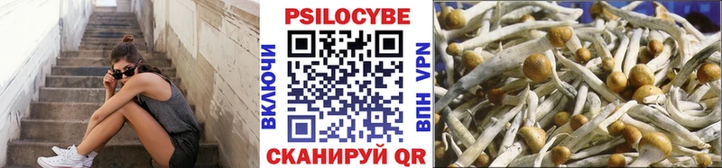 Псилоцибиновые грибы прущие грибы  Пошехонье 